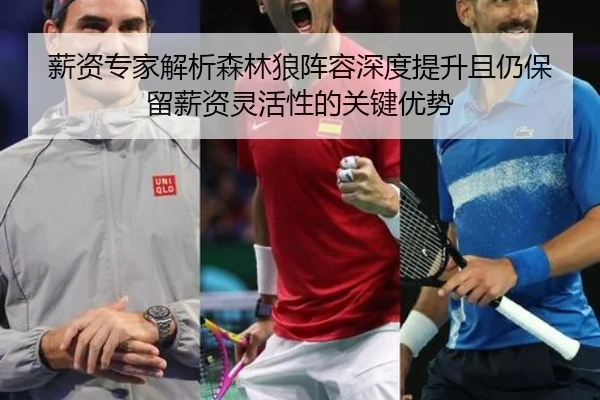 薪资专家解析森林狼阵容深度提升且仍保留薪资灵活性的关键优势（MIBOSPORTS）